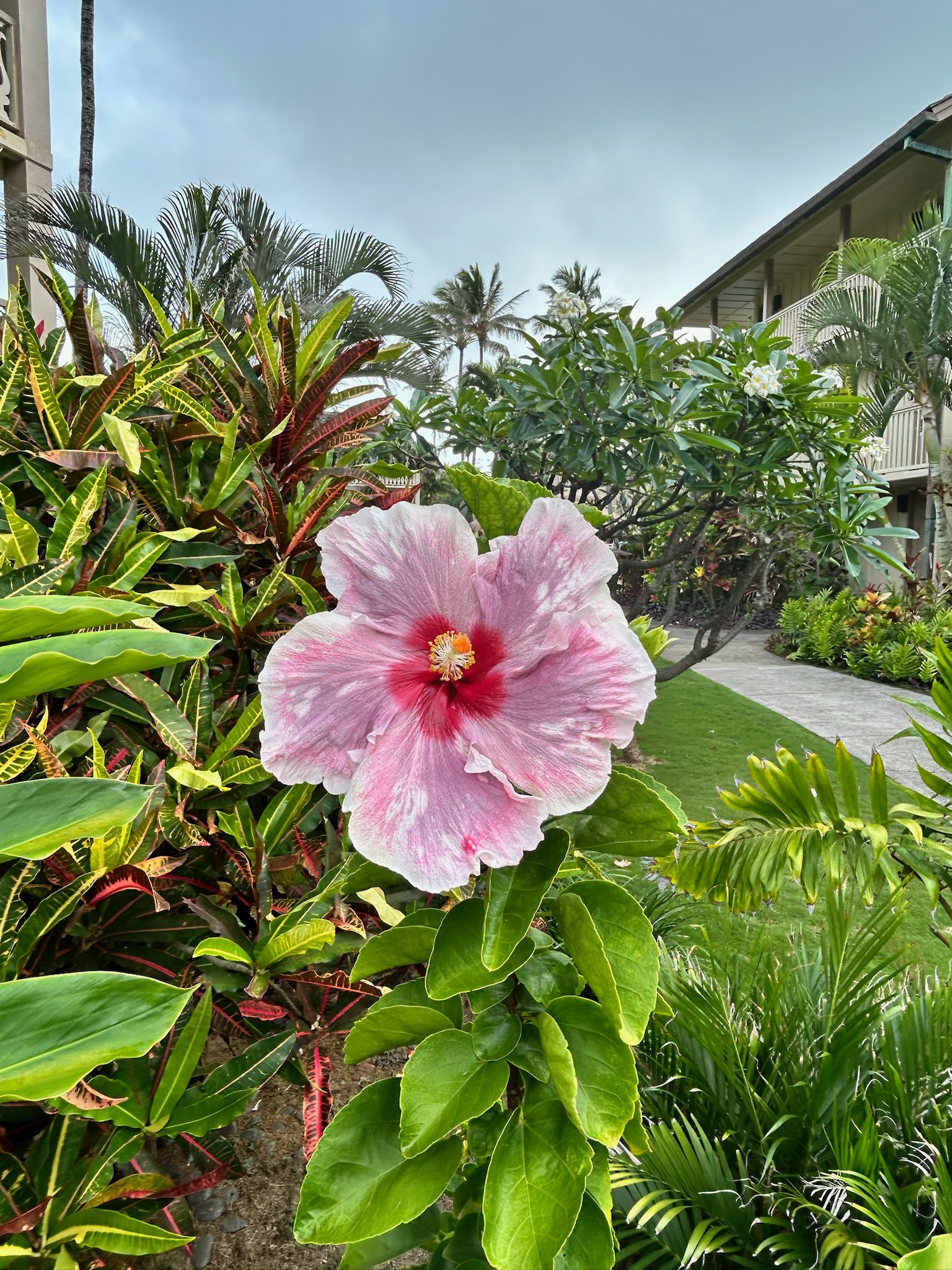 On Kauai